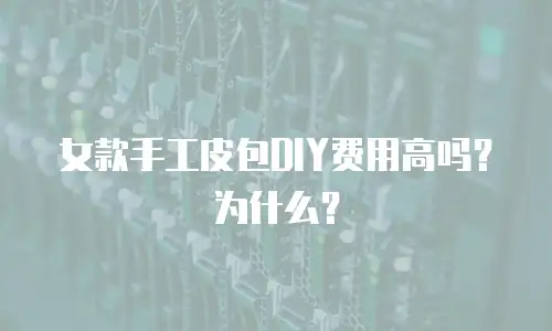 女款手工皮包DIY费用高吗？为什么？