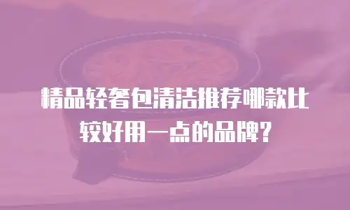 精品轻奢包清洁推荐哪款比较好用一点的品牌？