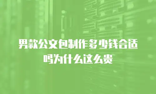 男款公文包制作多少钱合适吗为什么这么贵