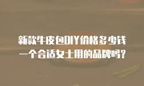 新款牛皮包DIY价格多少钱一个合适女士用的品牌吗？