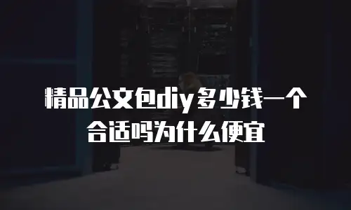 精品公文包diy多少钱一个合适吗为什么便宜