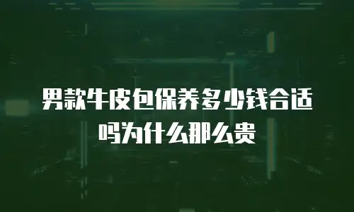 男款牛皮包保养多少钱合适吗为什么那么贵
