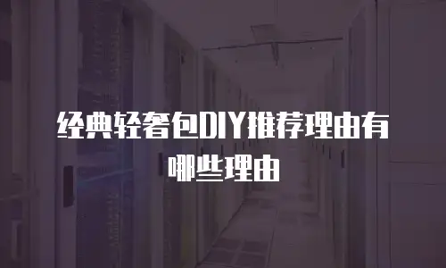经典轻奢包DIY推荐理由有哪些理由