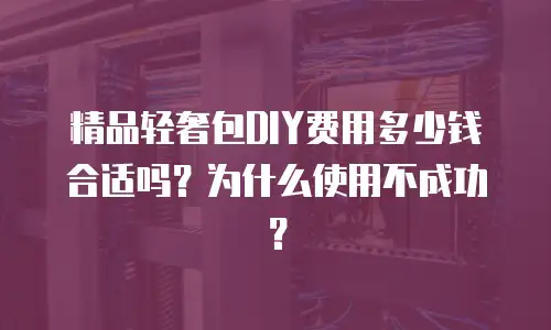精品轻奢包DIY费用多少钱合适吗？为什么使用不成功？
