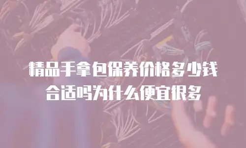 精品手拿包保养价格多少钱合适吗为什么便宜很多