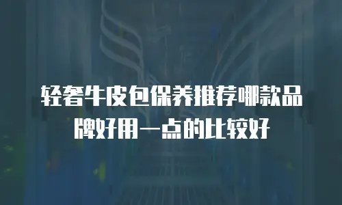 轻奢牛皮包保养推荐哪款品牌好用一点的比较好