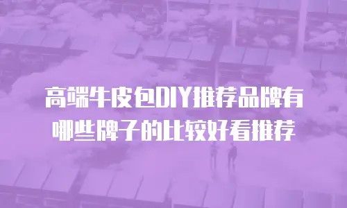 高端牛皮包DIY推荐品牌有哪些牌子的比较好看推荐