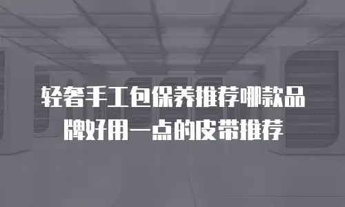 轻奢手工包保养推荐哪款品牌好用一点的皮带推荐