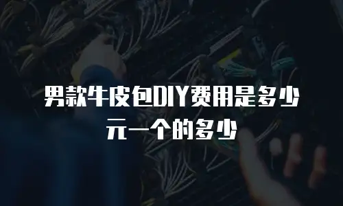 男款牛皮包DIY费用是多少元一个的多少