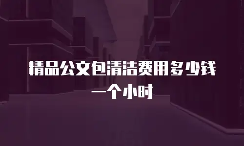 精品公文包清洁费用多少钱一个小时