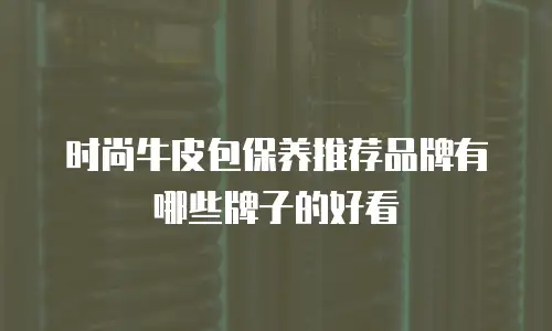 时尚牛皮包保养推荐品牌有哪些牌子的好看