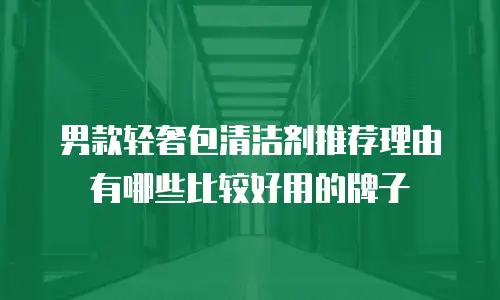 男款轻奢包清洁剂推荐理由有哪些比较好用的牌子