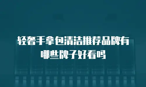 轻奢手拿包清洁推荐品牌有哪些牌子好看吗