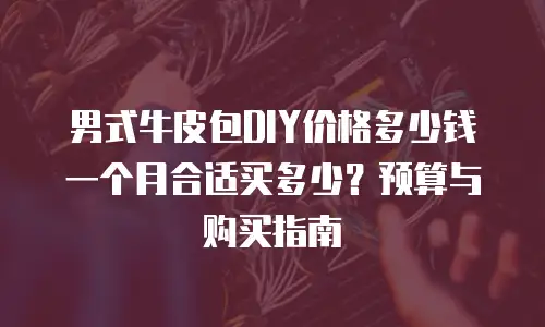 男式牛皮包DIY价格多少钱一个月合适买多少？预算与购买指南