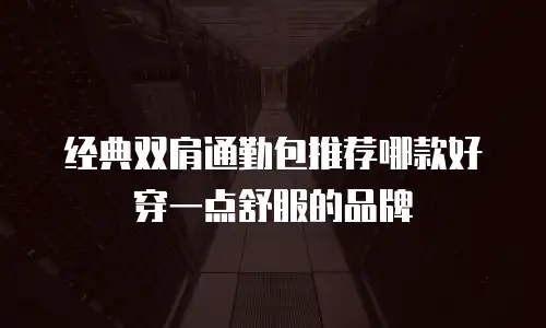 经典双肩通勤包推荐哪款好穿一点舒服的品牌