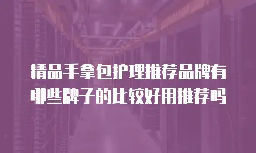 精品手拿包护理推荐品牌有哪些牌子的比较好用推荐吗