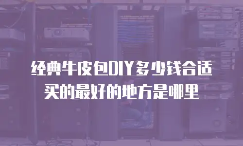 经典牛皮包DIY多少钱合适买的最好的地方是哪里