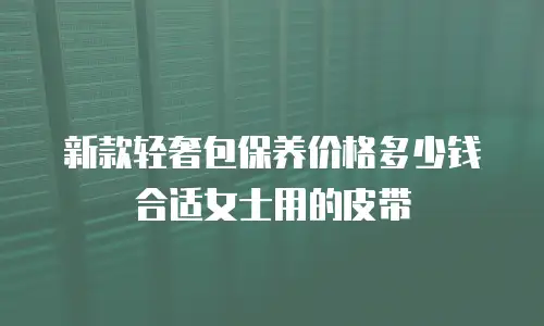 新款轻奢包保养价格多少钱合适女士用的皮带