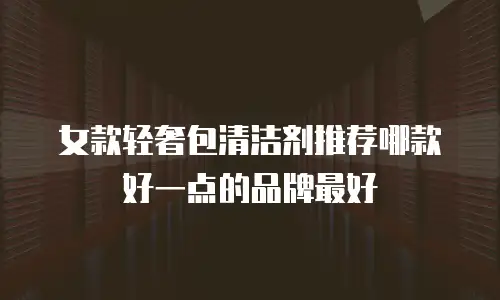 女款轻奢包清洁剂推荐哪款好一点的品牌最好