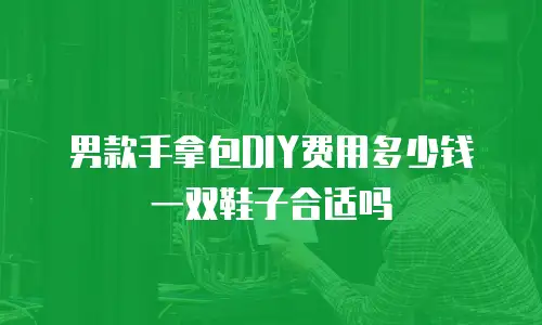男款手拿包DIY费用多少钱 一双鞋子合适吗