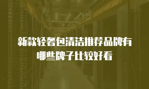 新款轻奢包清洁推荐品牌有哪些牌子比较好看
