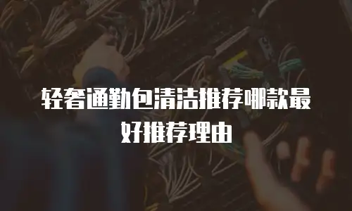 轻奢通勤包清洁推荐哪款最好推荐理由
