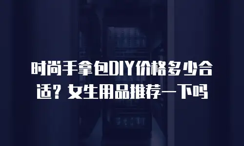 时尚手拿包DIY价格多少合适？女生用品推荐一下吗