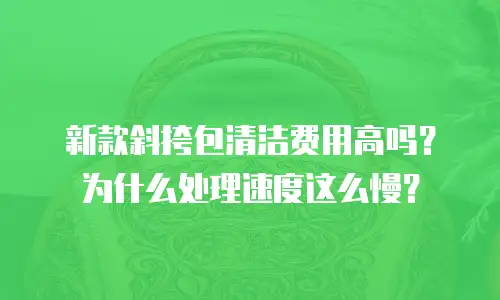 新款斜挎包清洁费用高吗？为什么处理速度这么慢？