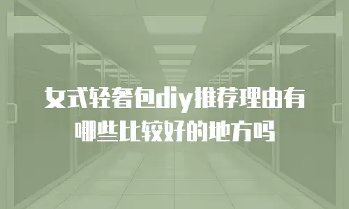 女式轻奢包diy推荐理由有哪些比较好的地方吗