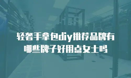 轻奢手拿包diy推荐品牌有哪些牌子好用点女士吗