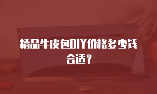 精品牛皮包DIY价格多少钱合适？