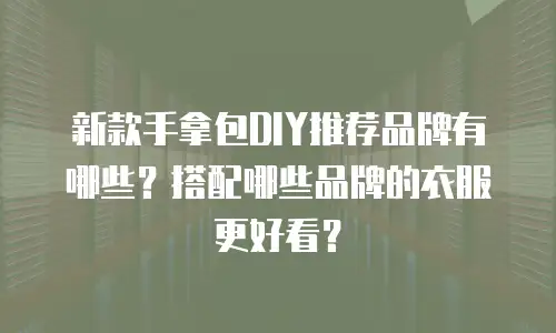 新款手拿包DIY推荐品牌有哪些？搭配哪些品牌的衣服更好看？