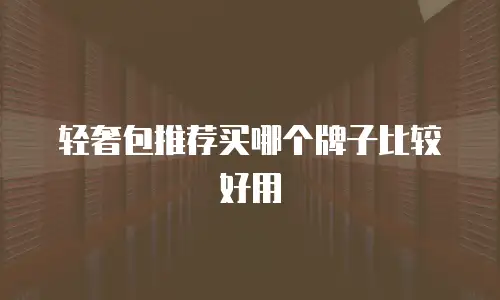 轻奢包推荐买哪个牌子比较好用