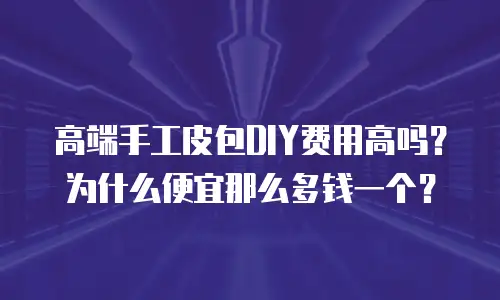 高端手工皮包DIY费用高吗？为什么便宜那么多钱一个？