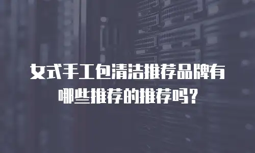 女式手工包清洁推荐品牌有哪些推荐的推荐吗？
