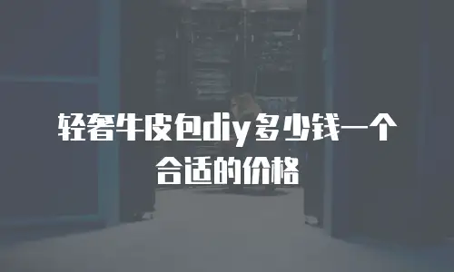 轻奢牛皮包diy多少钱一个合适的价格