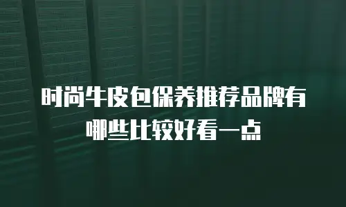 时尚牛皮包保养推荐品牌有哪些比较好看一点