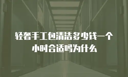 轻奢手工包清洁多少钱一个小时合适吗为什么