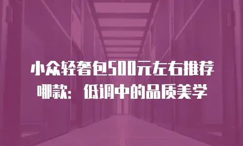小众轻奢包500元左右推荐哪款：低调中的品质美学