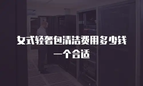 女式轻奢包清洁费用多少钱一个合适