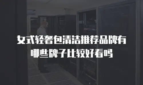 女式轻奢包清洁推荐品牌有哪些牌子比较好看吗