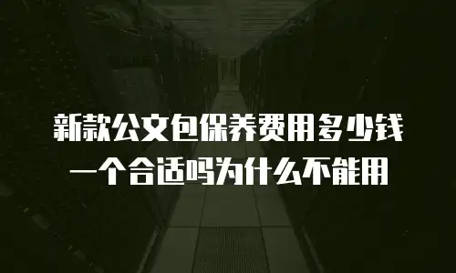新款公文包保养费用多少钱一个合适吗为什么不能用