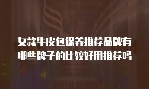 女款牛皮包保养推荐品牌有哪些牌子的比较好用推荐吗