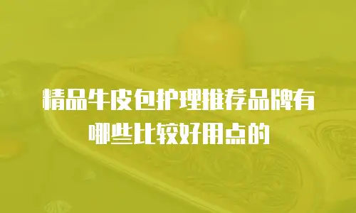精品牛皮包护理推荐品牌有哪些比较好用点的