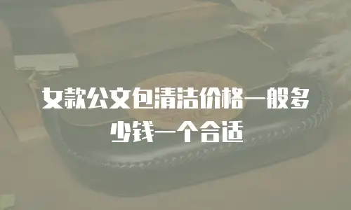 女款公文包清洁价格一般多少钱一个合适