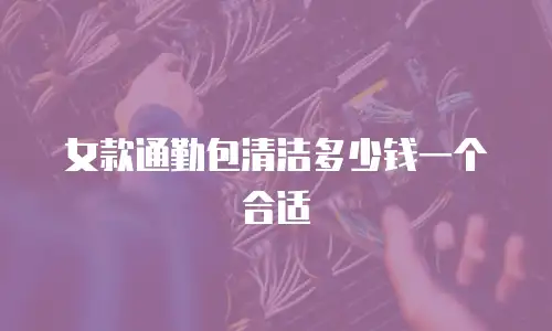 女款通勤包清洁多少钱一个合适