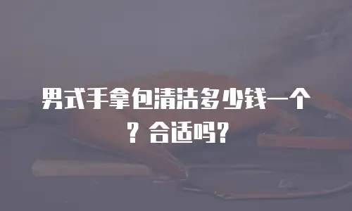 男式手拿包清洁多少钱一个？合适吗？