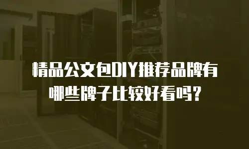 精品公文包DIY推荐品牌有哪些牌子比较好看吗？