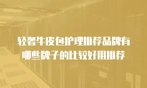 轻奢牛皮包护理推荐品牌有哪些牌子的比较好用推荐