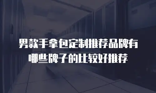 男款手拿包定制推荐品牌有哪些牌子的比较好推荐